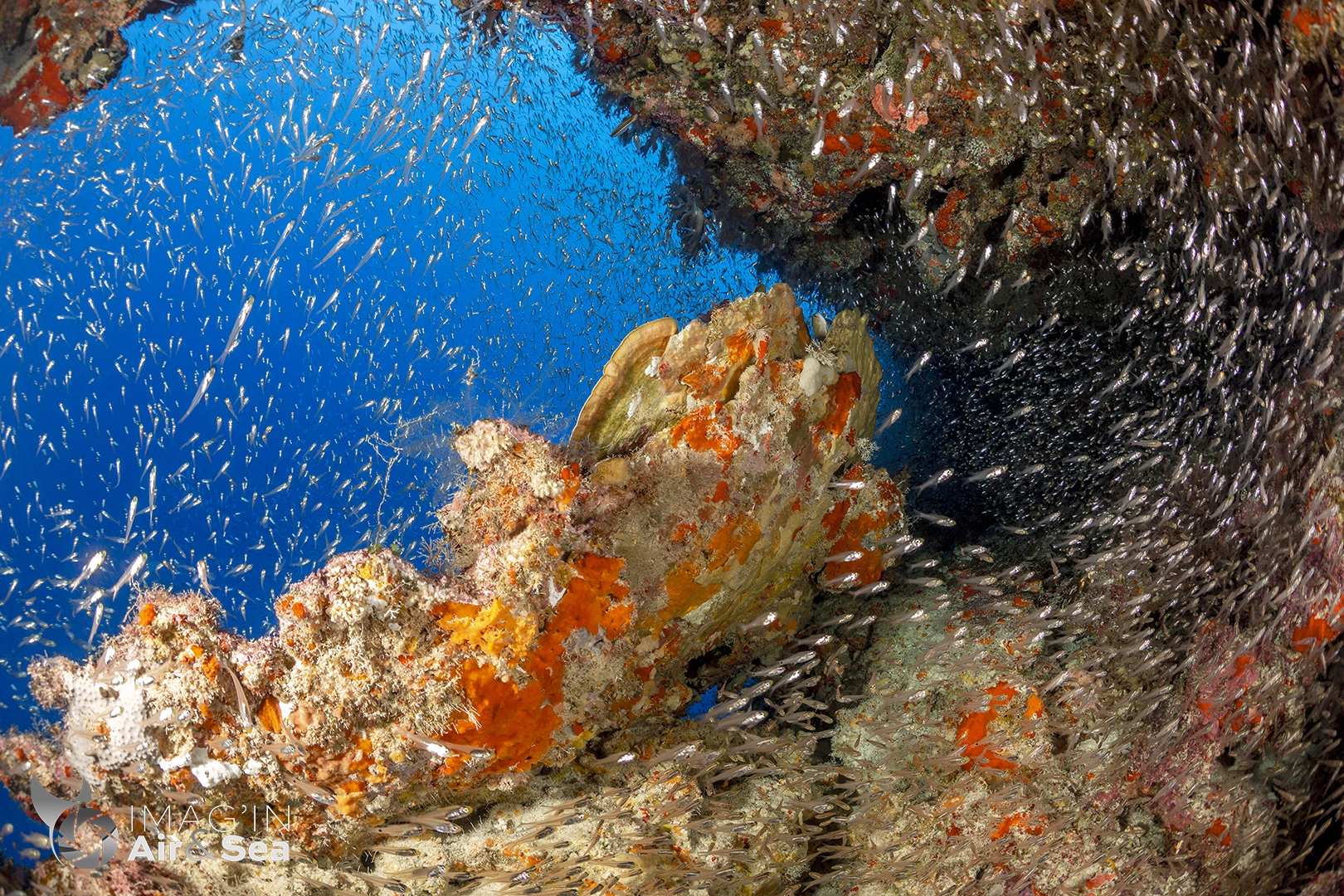 Fenêtre réciffale sur le grand bleu