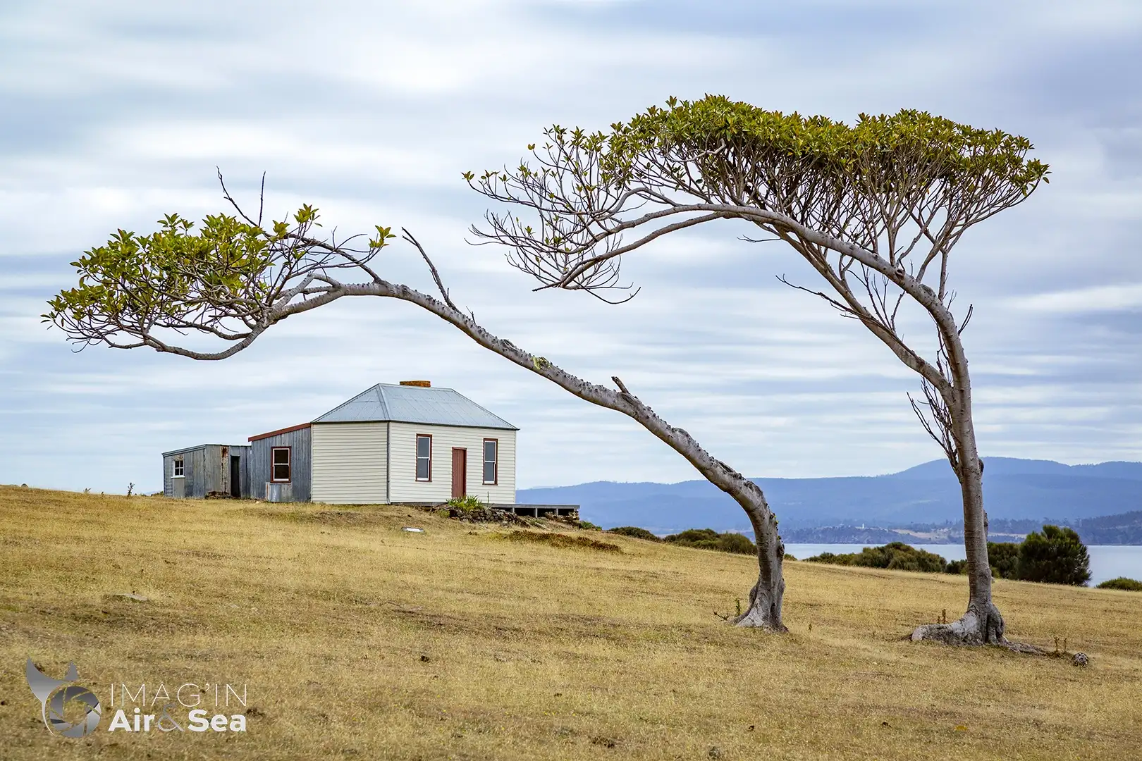 Photographie de la maison de Windy Hillsur Maria Island reconnaissable entre toutes avec ses arbres penché
